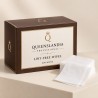 Professional Lint-Free Nail Wipes 500 | Queenslandia