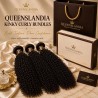 Queenslandia Kinky Curly Bundles | Luxury Vietnamese Human Hair Extensions